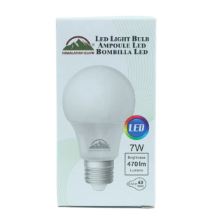 LED Light Bulb - Warm White | Himalayan Glow